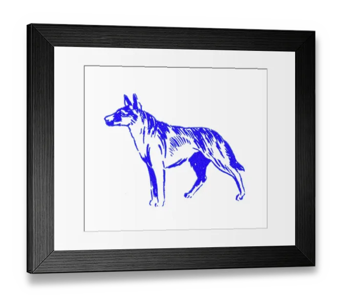 Framed Print : Alsatian dog - 1950s printer's block Framed Print : Alsatian dog - 1950s printer's block