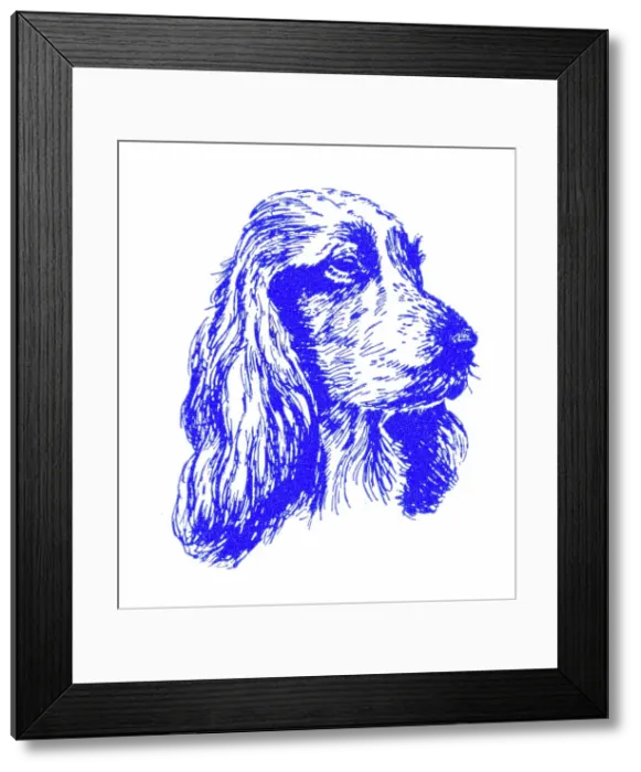 Framed Print : Spaniel's head - 1950s printer's block