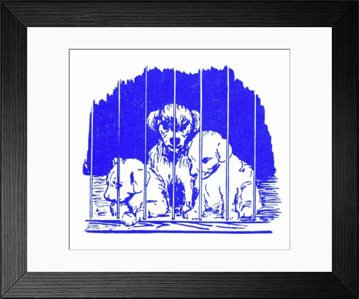 Framed Print : Three puppies in pet shop cage - 1950s printer's block Framed Print : Three puppies in pet shop cage - 1950s printer's block