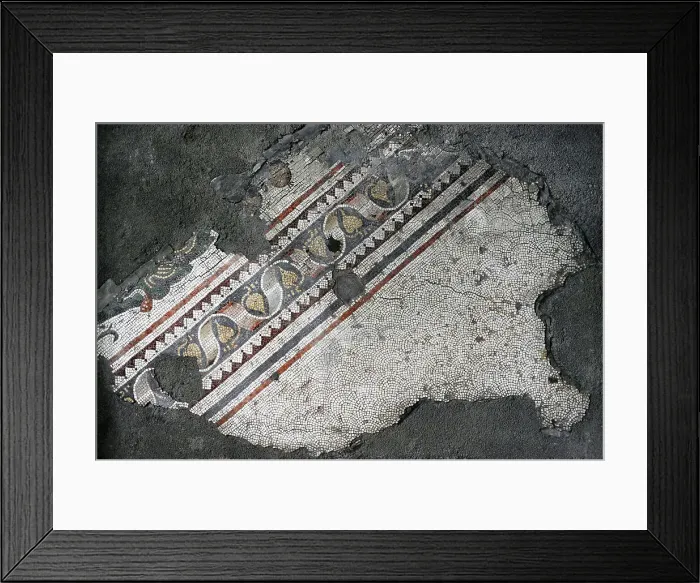 Framed Print : Fragment of a Roman mosaic from the Great Palace Framed Print : Fragment of a Roman mosaic from the Great Palace