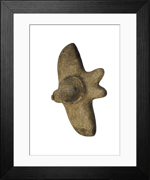 Framed Print : Bird shaped mortar. Zoolith used to grind hallucinogens Framed Print : Bird shaped mortar. Zoolith used to grind hallucinogens