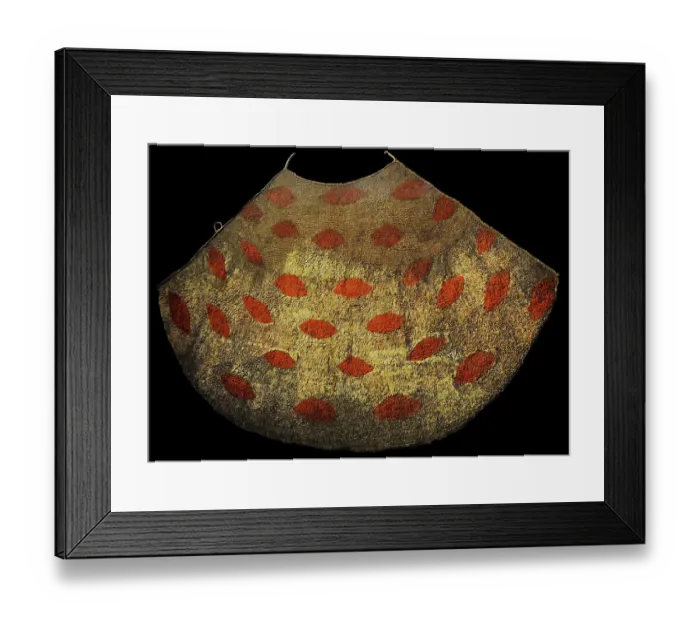 Framed Print : Cloak that the Hawaiian chiefs wore as a symbol of status Framed Print : Cloak that the Hawaiian chiefs wore as a symbol of status