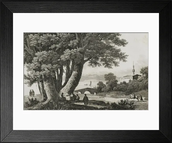 Framed Print : 40 plane trees of Godfrey of Bouillon. Prairie of Buyukdere Framed Print : 40 plane trees of Godfrey of Bouillon. Prairie of Buyukdere