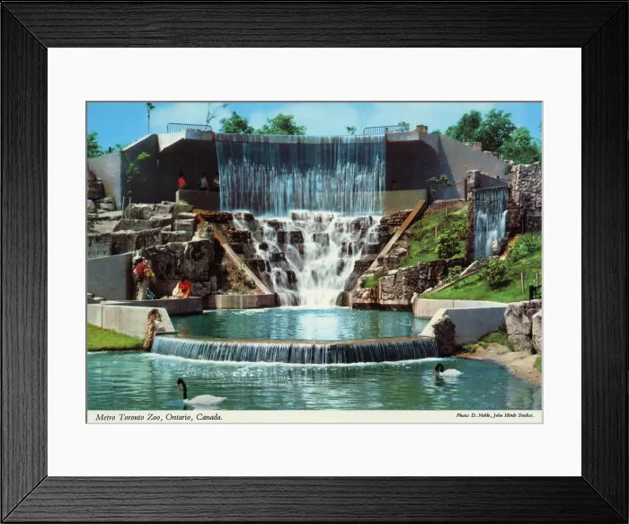 Framed Print : Toronto, Ontario, Canada - Metro Toronto Zoo Framed Print : Toronto, Ontario, Canada - Metro Toronto Zoo