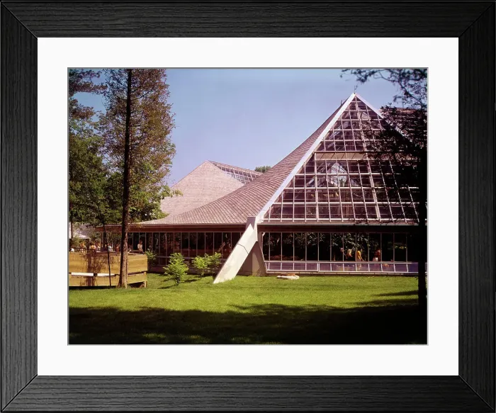 Framed Print : Toronto, Ontario, Canada - Metro Toronto Zoo Framed Print : Toronto, Ontario, Canada - Metro Toronto Zoo