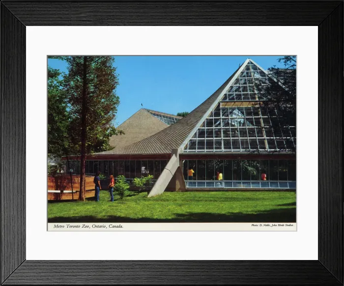 Framed Print : Toronto, Ontario, Canada - Metro Toronto Zoo Framed Print : Toronto, Ontario, Canada - Metro Toronto Zoo