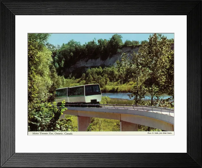 Framed Print : Toronto, Ontario, Canada - Metro Toronto Zoo Framed Print : Toronto, Ontario, Canada - Metro Toronto Zoo