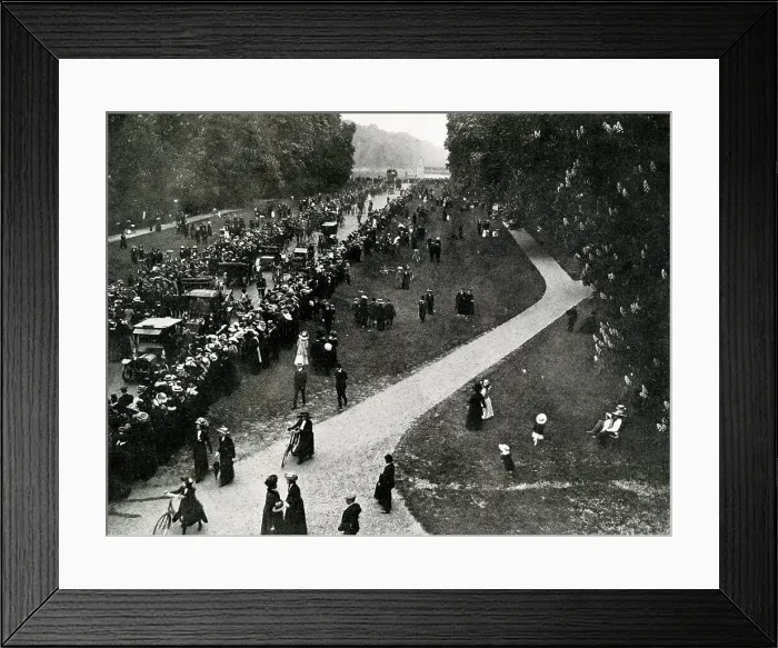Framed Print : Chestnut Sunday, Bushey Park in May Framed Print : Chestnut Sunday, Bushey Park in May