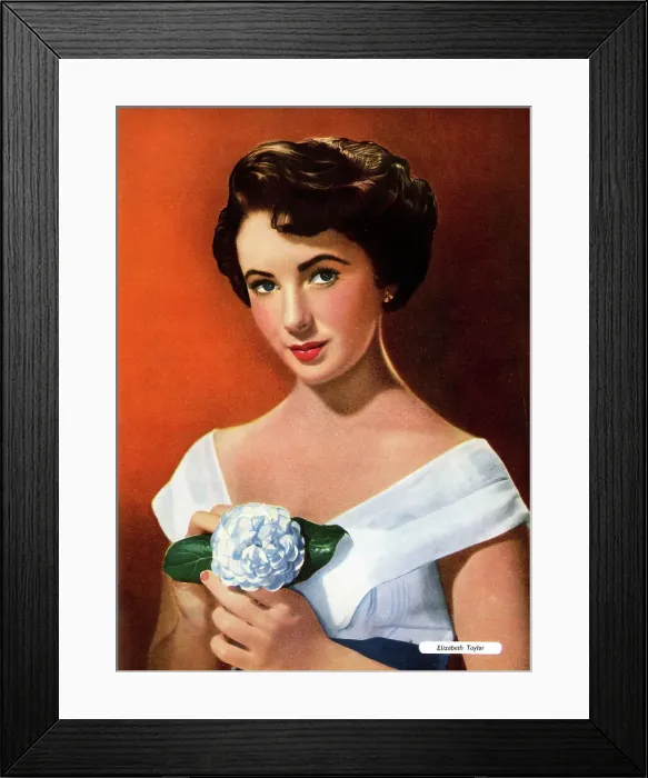 Framed Print : Elizabeth Taylor, English actress Framed Print : Elizabeth Taylor, English actress