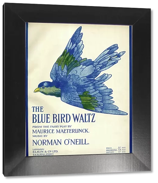 Music cover, The Blue Bird Waltz