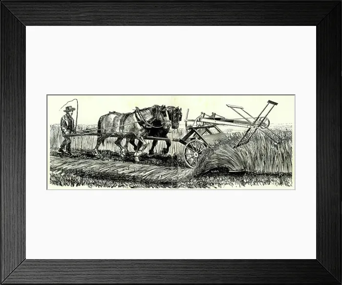 Framed Print : Earliest practical reaper harvester Framed Print : Earliest practical reaper harvester