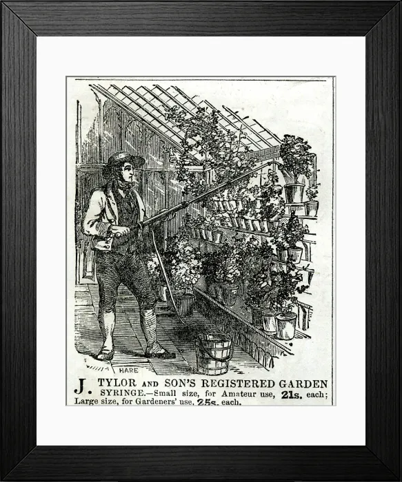 Framed Print : Advert, J Tylor and Son's registered garden syringe Framed Print : Advert, J Tylor and Son's registered garden syringe