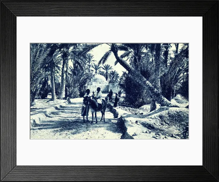 Framed Print : Marabout Oasis near Misrata, Gulf of Sidra, Libya Framed Print : Marabout Oasis near Misrata, Gulf of Sidra, Libya