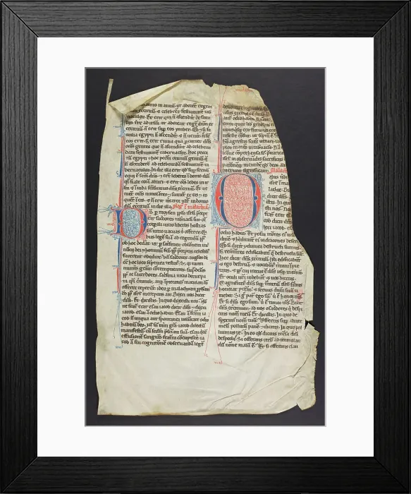 Framed Print : Bible Fragments Framed Print : Bible Fragments