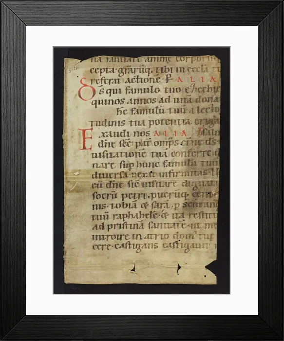 Framed Print : Ritual (Fragment) Framed Print : Ritual (Fragment)