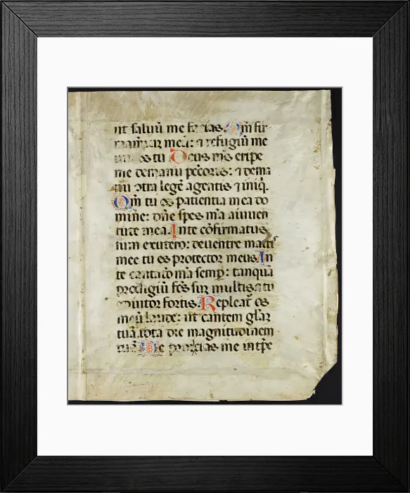 Framed Print : Psalter (Fragments) Framed Print : Psalter (Fragments)