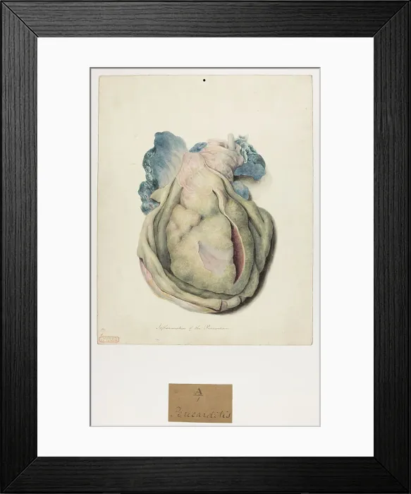 Framed Print : 13741347 Framed Print : 13741347