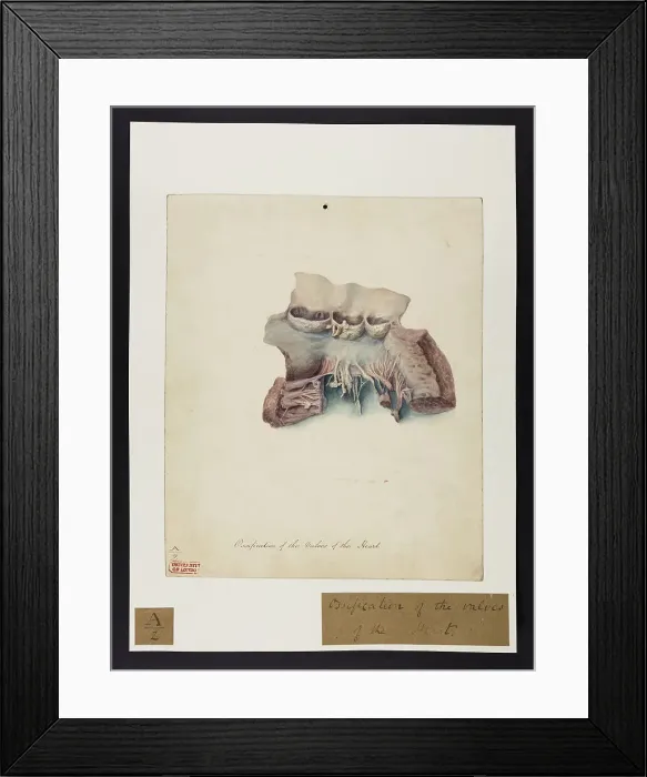 Framed Print : 13741348 Framed Print : 13741348