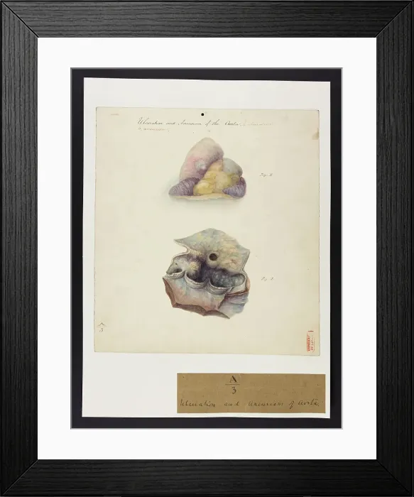 Framed Print : 13741349