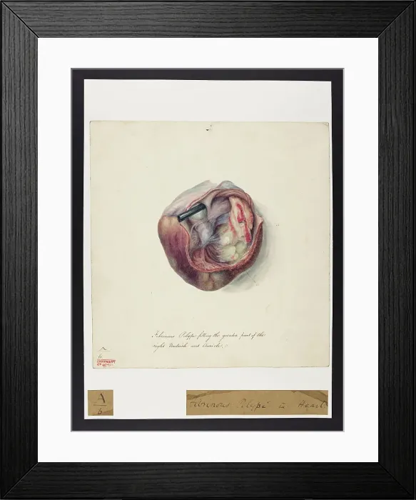 Framed Print : 13741352 Framed Print : 13741352