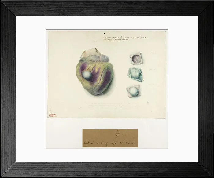 Framed Print : 13741353 Framed Print : 13741353