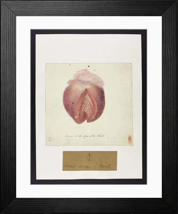 Framed Print : 13741356 Framed Print : 13741356