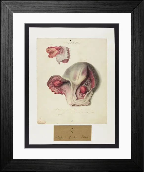 Framed Print : 13741351 Framed Print : 13741351