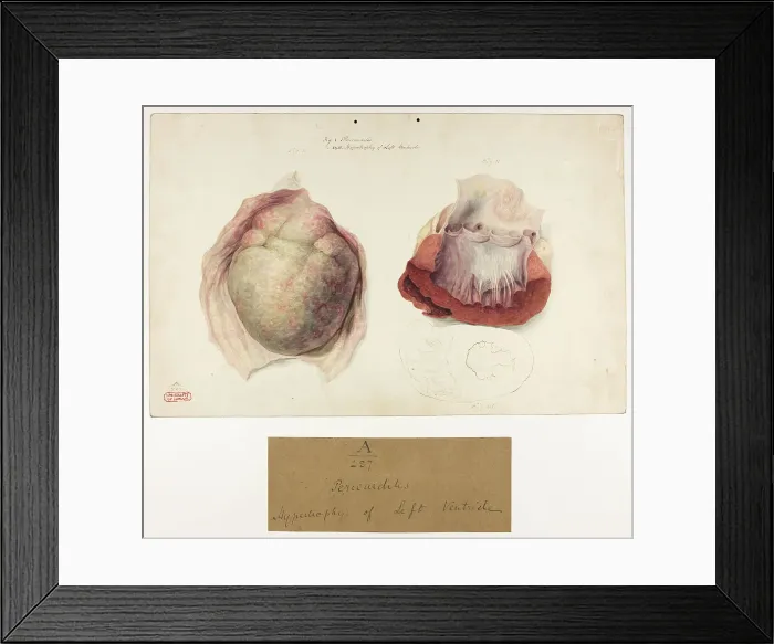 Framed Print : 13741362 Framed Print : 13741362