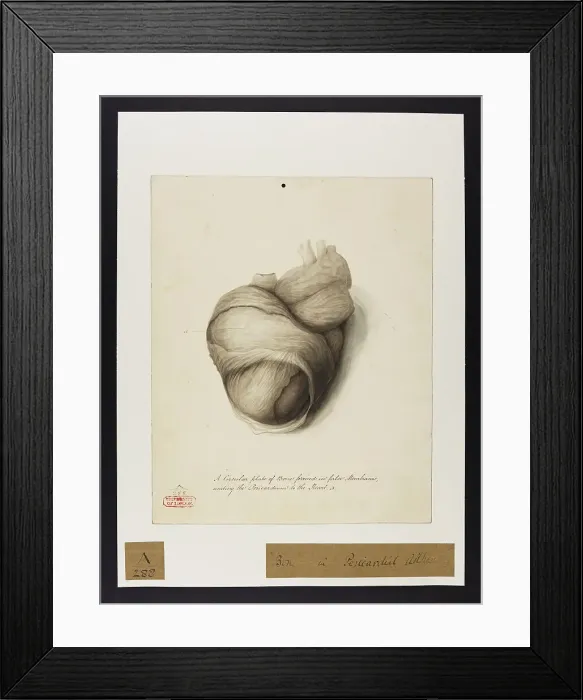 Framed Print : 13741363 Framed Print : 13741363