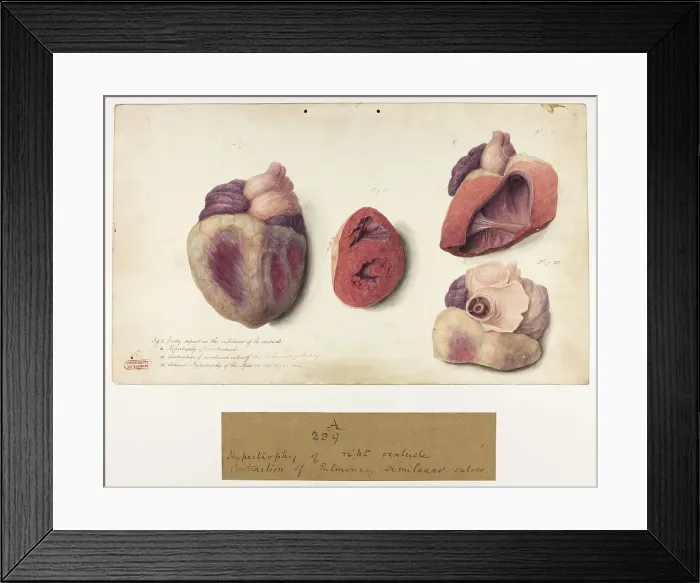 Framed Print : 13741364 Framed Print : 13741364