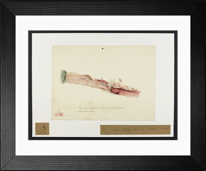 Framed Print : 13741366 Framed Print : 13741366