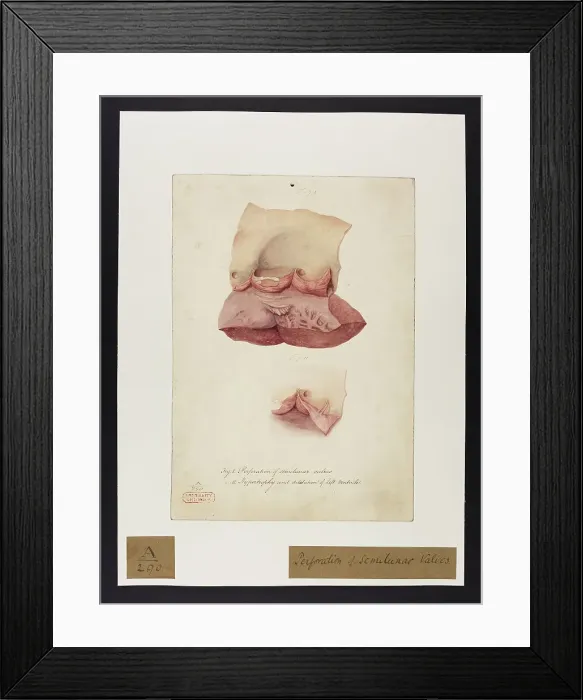 Framed Print : 13741365 Framed Print : 13741365