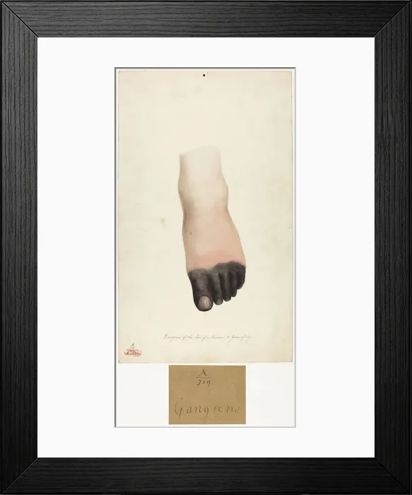 Framed Print : 13741368 Framed Print : 13741368