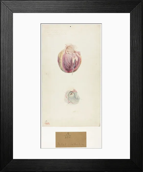 Framed Print : 13741369 Framed Print : 13741369