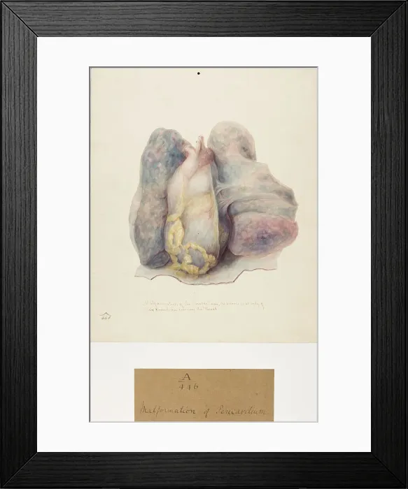 Framed Print : 13741371 Framed Print : 13741371