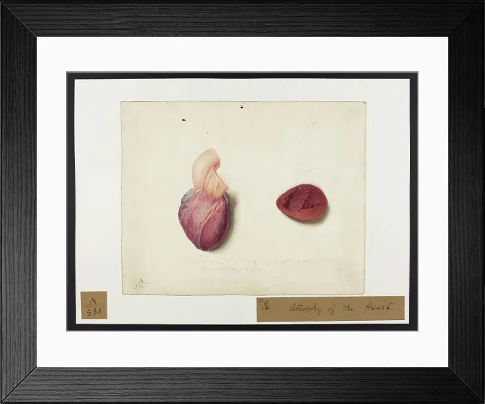 Framed Print : 13741374 Framed Print : 13741374