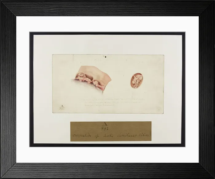 Framed Print : 13741375 Framed Print : 13741375