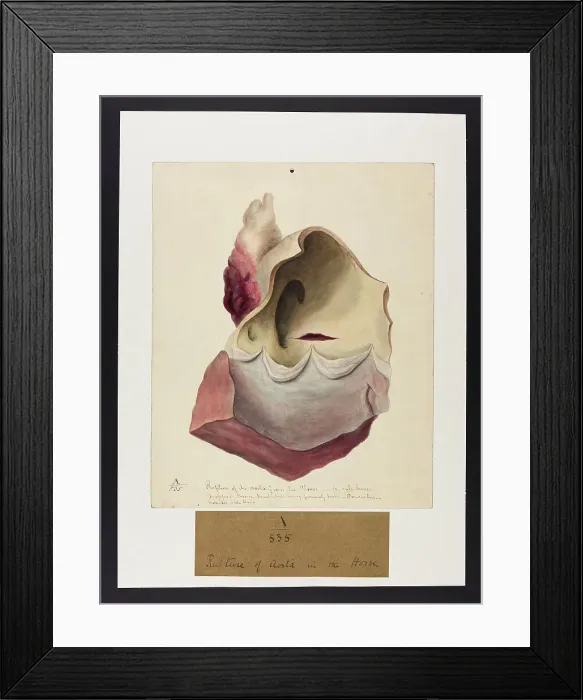 Framed Print : 13741377 Framed Print : 13741377