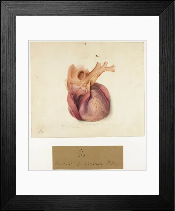 Framed Print : 13741373 Framed Print : 13741373