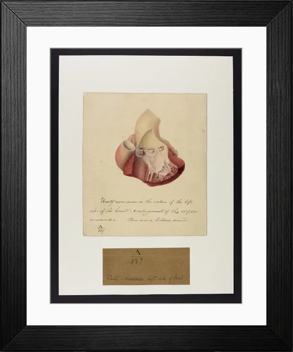 Framed Print : 13741379 Framed Print : 13741379