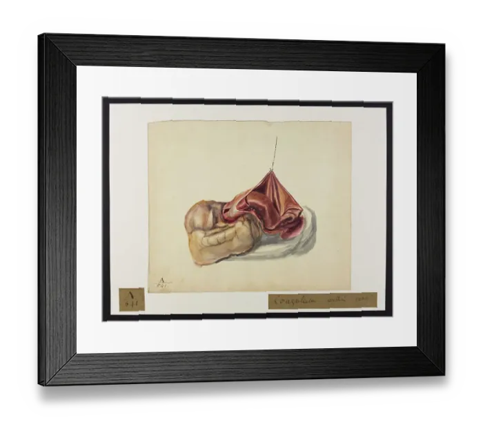 Framed Print : 13741380 Framed Print : 13741380