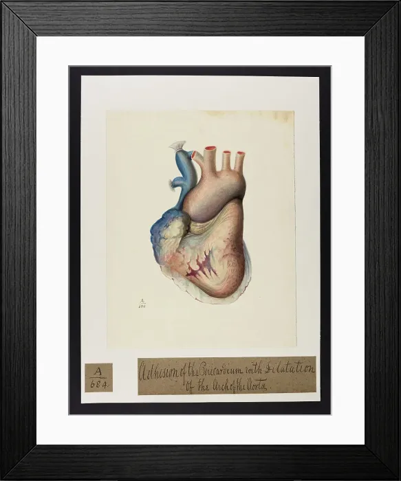 Framed Print : 13741382 Framed Print : 13741382