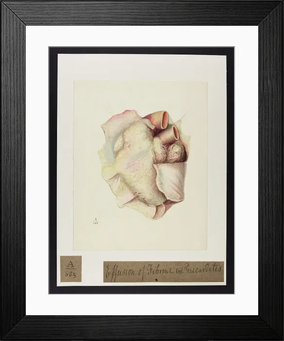 Framed Print : 13741383 Framed Print : 13741383