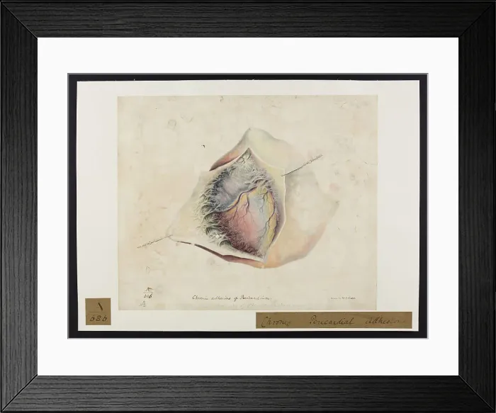 Framed Print : 13741384 Framed Print : 13741384