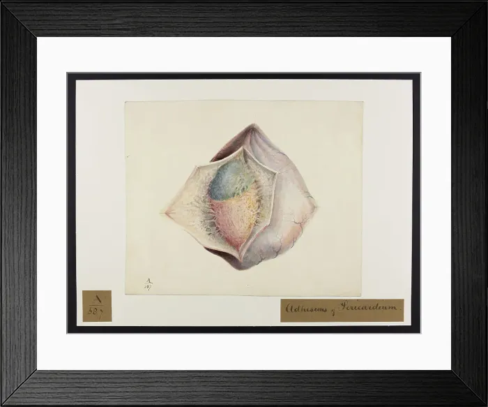 Framed Print : 13741385 Framed Print : 13741385