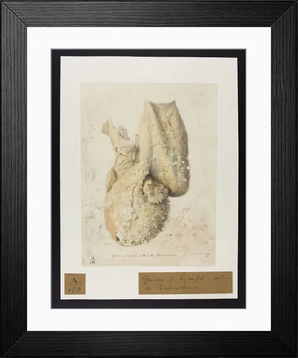 Framed Print : 13741386 Framed Print : 13741386