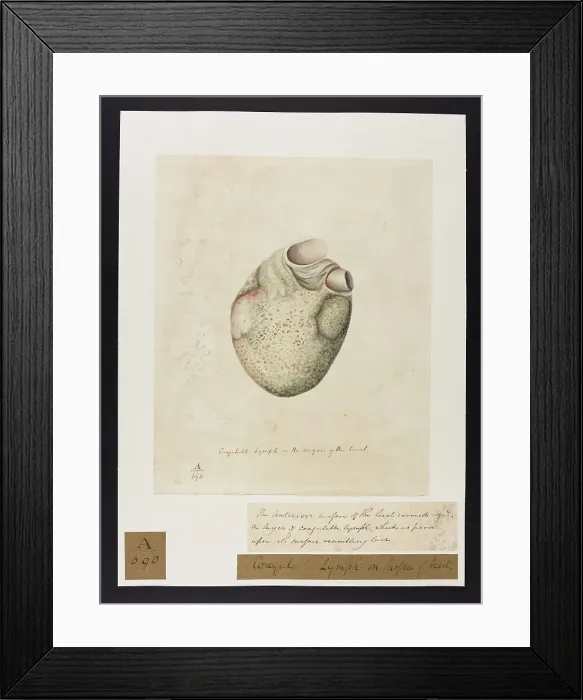 Framed Print : 13741388 Framed Print : 13741388