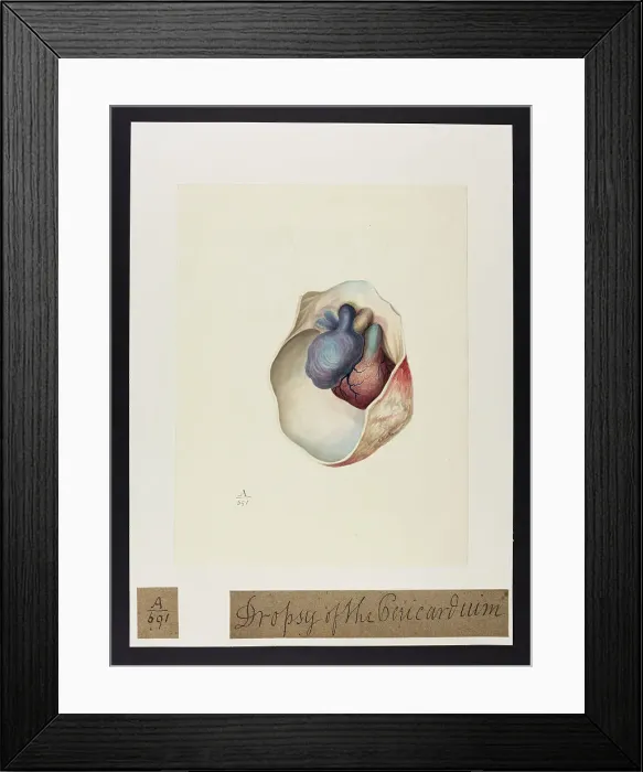 Framed Print : 13741389 Framed Print : 13741389