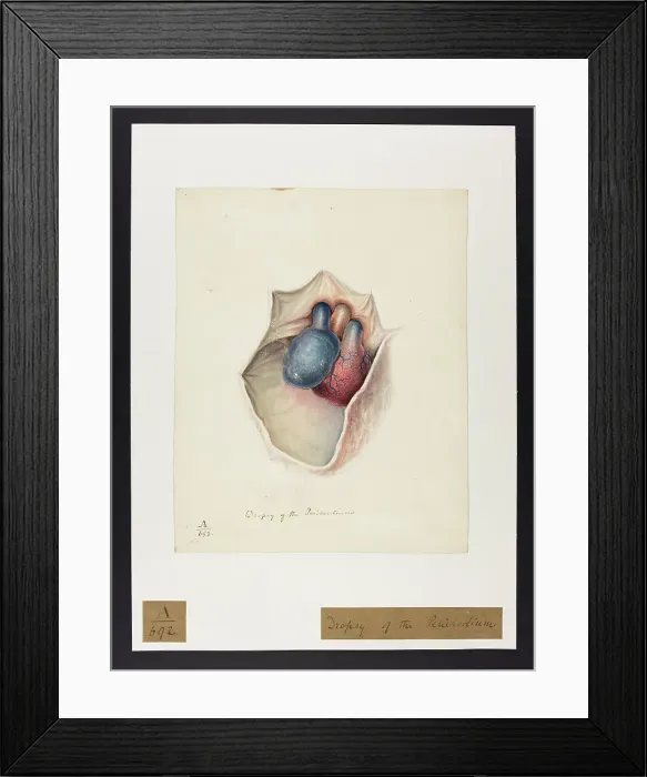 Framed Print : 13741390 Framed Print : 13741390