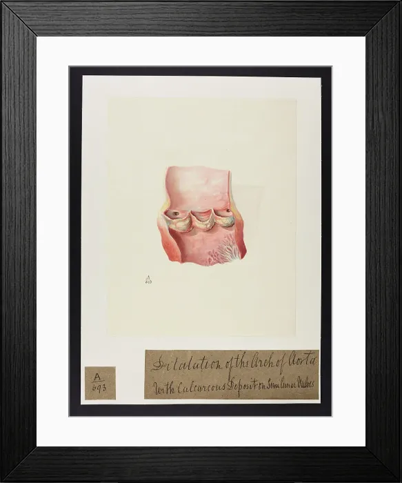 Framed Print : 13741391 Framed Print : 13741391